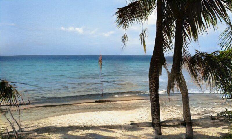 Playa tranquila con palmeras, arena blanca y mar azul, ideal para relajarse y disfrutar de la naturaleza.