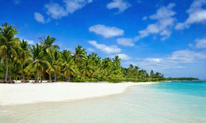 Playa de arena blanca con aguas turquesas y exuberantes palmeras. Un paraíso tropical.