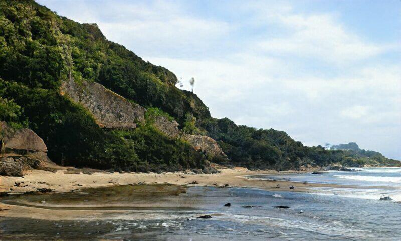 Un tranquilo paisaje costero con playa de arena, acantilados rocosos y exuberante vegetación. Las olas del mar acarician suavemente la orilla.