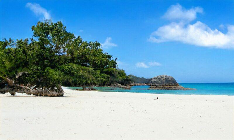 Playa tropical de arena blanca, agua turquesa y exuberante vegetación verde.