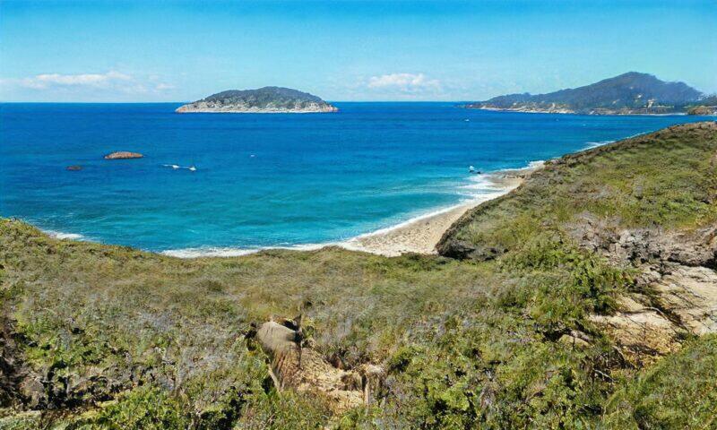 Cala aislada con agua turquesa, playa de arena y exuberantes colinas verdes.