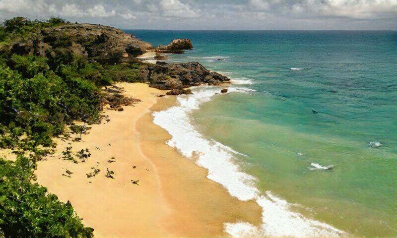 Playa tropical aislada con arena dorada y agua turquesa.