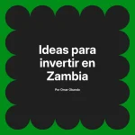 Ideas para invertir en Zambia
